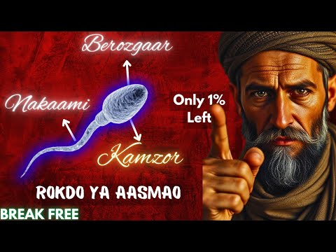 Image YouTube