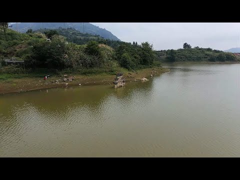 Image YouTube