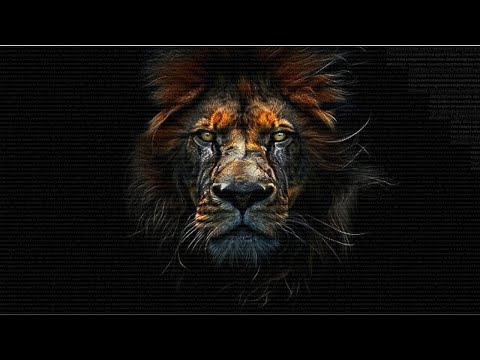 Image YouTube