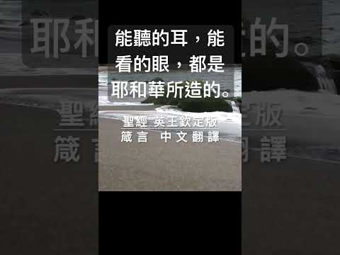 Image YouTube