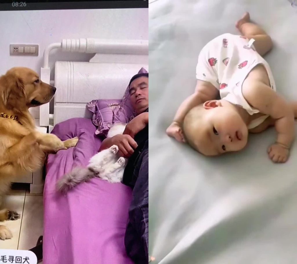 贞洁; Bébé co-shoot