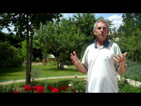 Image YouTube