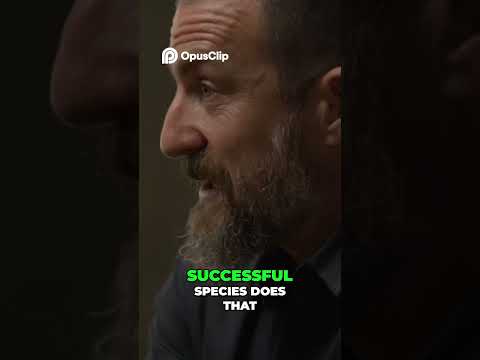 Image YouTube