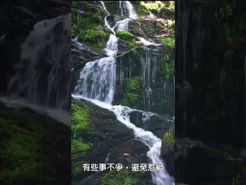 Image YouTube