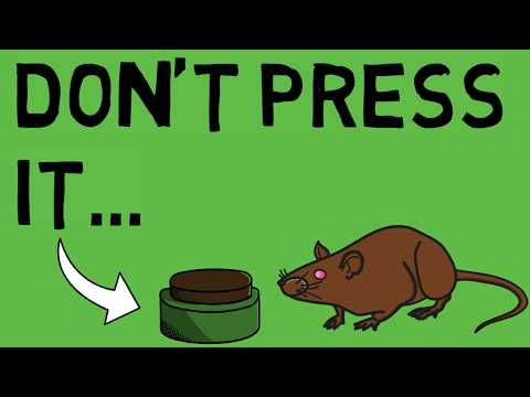 Image YouTube