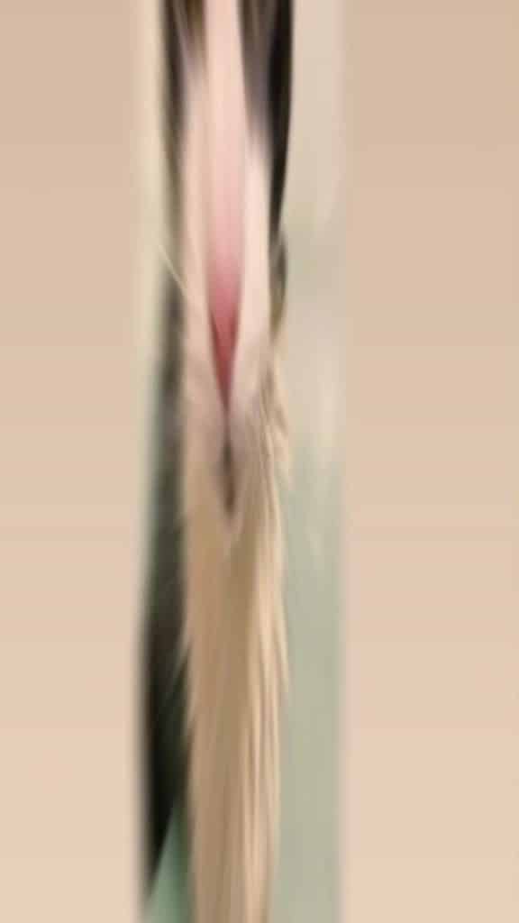 anti-porno; maigre