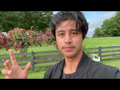 Image YouTube