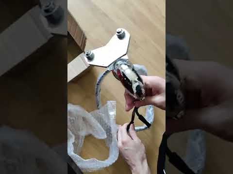 Image YouTube