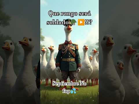 Image YouTube