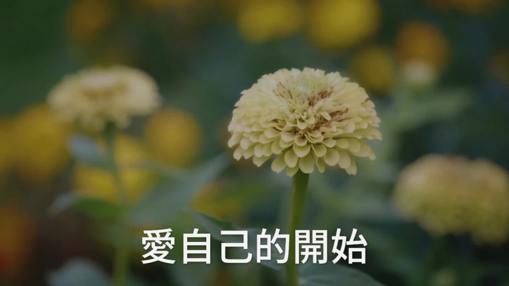 自己愛,J’ai vécu pendant 55 ans et je me suis rendu compte que de m’aimer signifie ne pas avoir d’allergies dans mon corps et ne plus avoir de maux de dos. Après avoir pris ma retraite de l’industrie de la police, j’ai rejoint les rangs des bénévoles, mais parce que mes aînés étaient malades, j’ai pris soin de ma famille de tout cœur. Je suis allé entre les hôpitaux et le travail et j’ai réalisé que la santé physique et mentale est le véritable amour pour moi.
 sur Tiktok