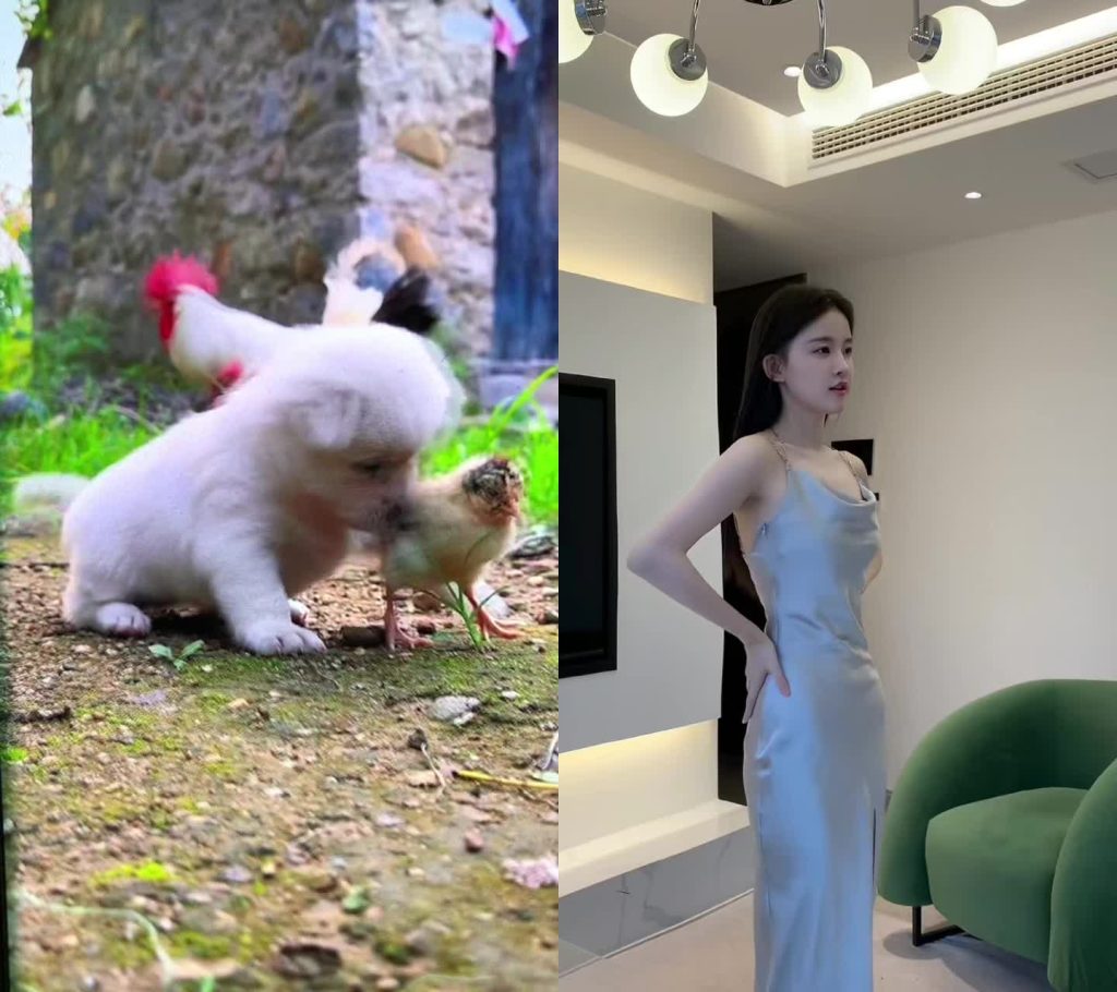 Tiktok (贞洁): Reine co-shoot