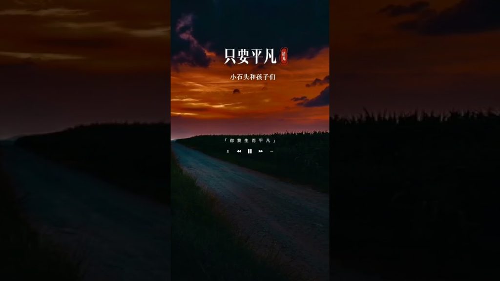純潔; 天籁之声,干净纯洁!这是我听到的最催泪的版本了…