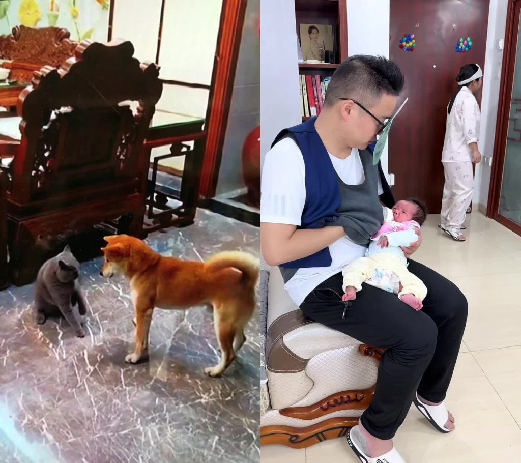 贞洁,en phase
sur Tiktok