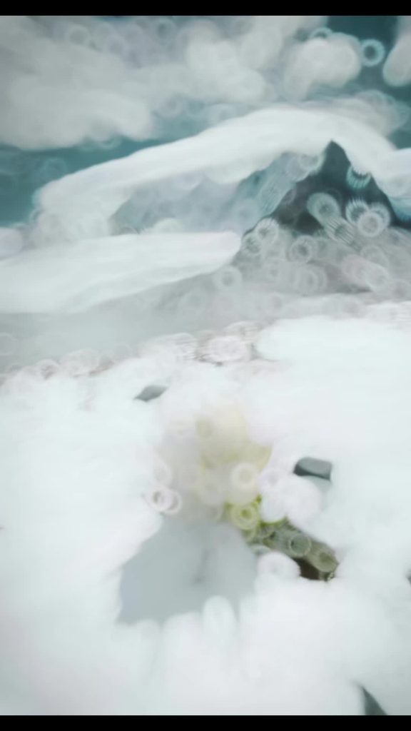 純潔; L’endroit que je désire est aussi blanc et impeccable que cette fleur, aussi blanc et pur que le perce-neige