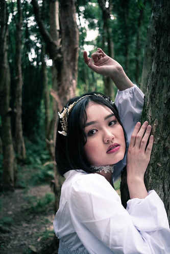 Flickr (純潔): 香山森林