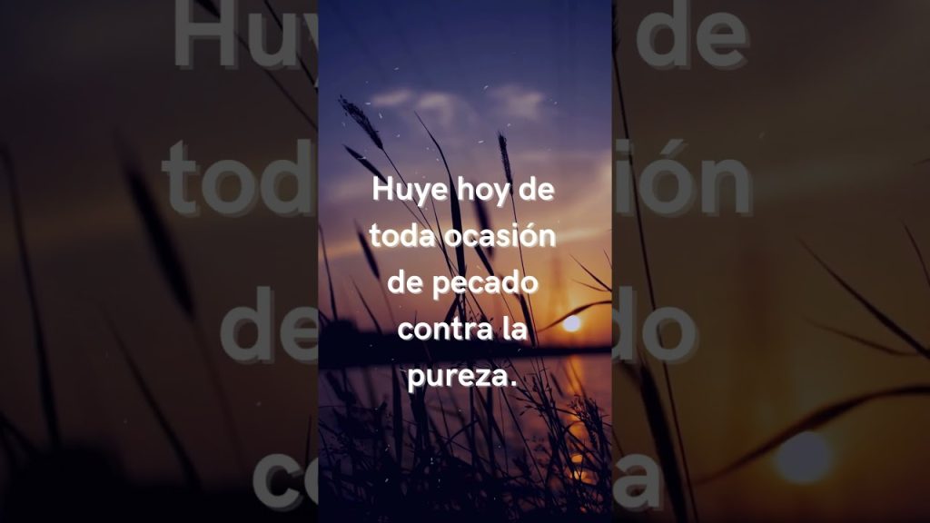 castidad,Sé santo – castidad sur Youtube