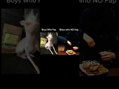 Image YouTube