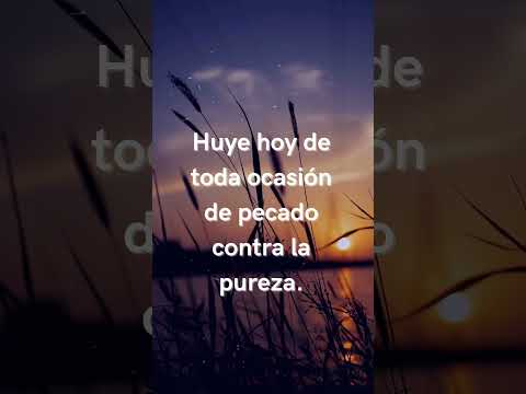 Image YouTube