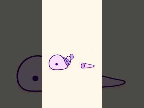 Image YouTube