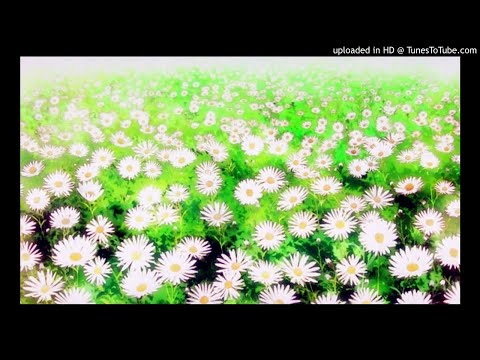 Image YouTube