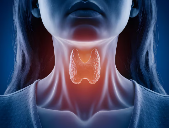 tselomudrie; Benefits of Sea Moss for Thyroid: What You Need to Know