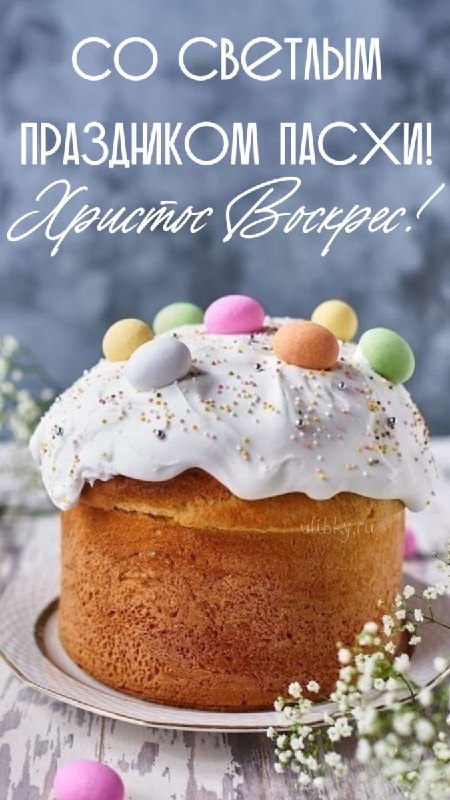 Telegram: Abstentionnistes, bonne fête à vous ! En cette journée ensoleillée, c’est un péché de se masturber. Oui…