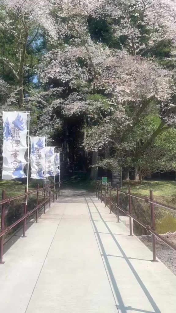 純潔,Langage des fleurs : pureté       
 sur Tiktok