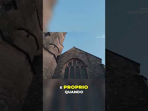 Image YouTube