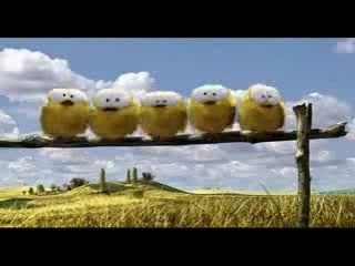 Vimeo Tennis birds - Oiseaux Tennis