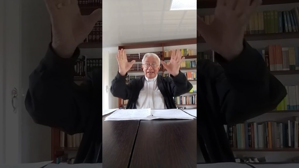 castidad,Onceava Conferencia « Castidad cristiana y celibato sacerdotal » sur Youtube