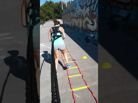 Image YouTube