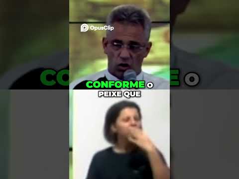 Image YouTube