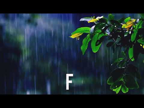 Image YouTube