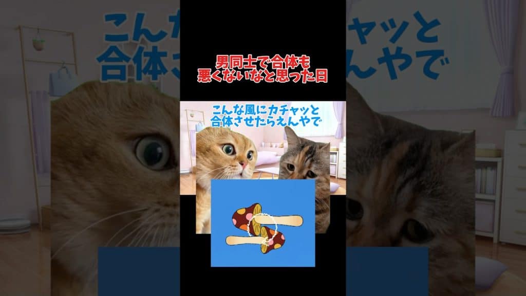 Youtube (オナニスト): 【猫ミーム】私は猫になりたい。。。ww #shorts #猫ミーム #実話