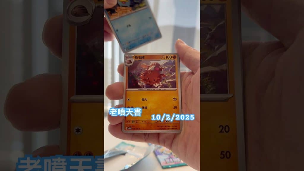 Youtube (純潔): 老噴天書 純潔嘅一日 #ptcg #寶可夢 #pokemon #ptcgpocket #噴火龍 #小火龍 #nintendo #pokemoncards #老噴天書 #charizard 