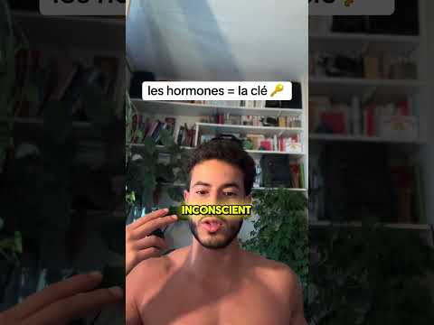 Image YouTube