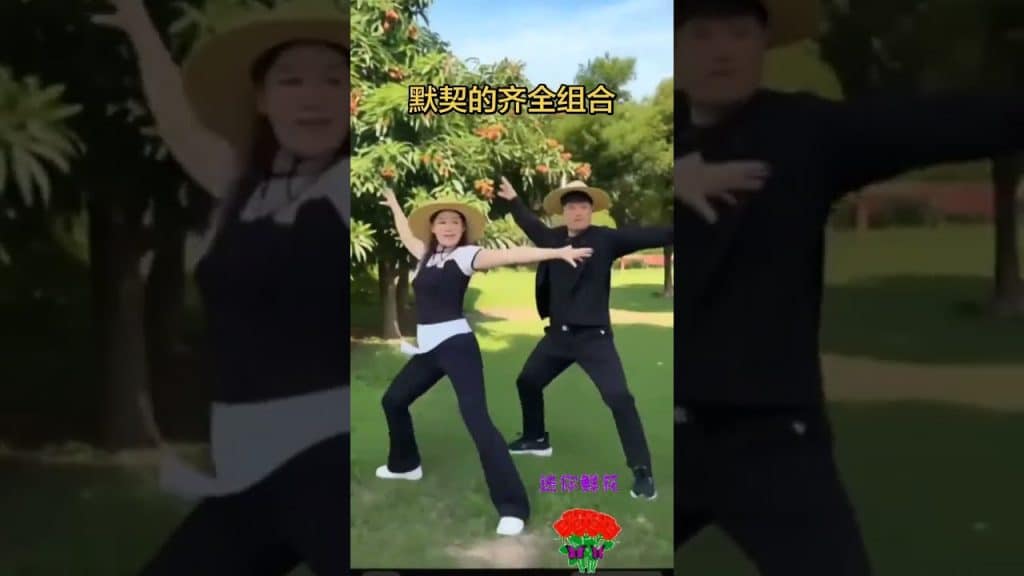 純潔,純潔的友誼,嗨的年紀,這就是青年該有的樣子 #全紅嬋 #張家齊 #全進華 sur Youtube