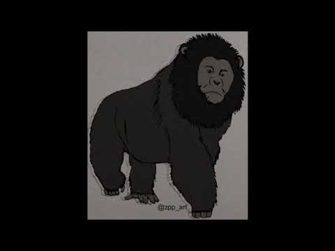 Image YouTube
