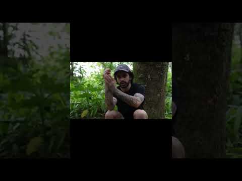 Image YouTube